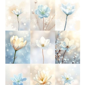 May include: Nine digital collage images of white and light blue flowers with a blurred background. The flowers are arranged in a grid pattern.