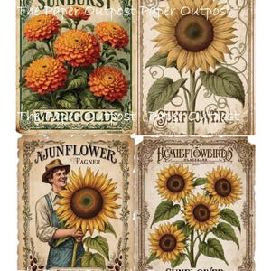 May include: A set of three ceramic mugs with a speckled, cream-colored glaze. Each mug features a different hand-painted design: a blue and green leaf, a yellow flower, and a red berry. The mugs have a simple, rounded shape.