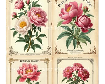 Flower Love Flowers, floral, botanical cards, antique style Images (Digital Kit)