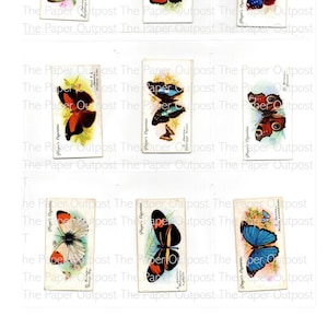 Kit numérique vintage papillon #1 Images de papillons imprimables numériques Illustrations de papillons Papillon éphémères indésirables Carnets papier avant-poste