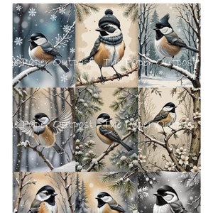 CHICKADEE BIRD WINTER Digikit digital imprimível digital chickadees, pássaros, asas, pássaros de inverno ThePaperOutpost loja de papel outpost pam