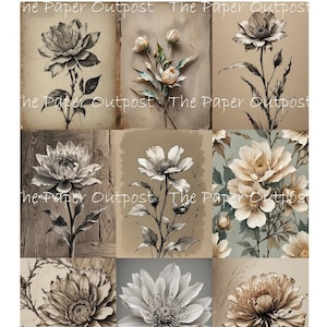 Image imprimable Digikit fleurs pâles fleur fleur neutre image fleur image botanique floraison florale imprimable The Paper Outpost shop Pam
