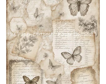 Butterfly Handwritten Notes Digikit Printable Images  naturalist journals, vintage correspondence butterflies digital download Paper Outpost