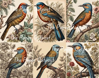 VINTAGE BIRD GARDEN Digikit digi kit digital printable digital vintage birds gardens illustration ThePaperOutpost paper outpost shop