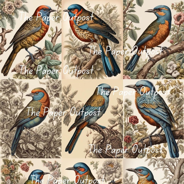 VINTAGE BIRD GARDEN Digikit digi kit digital printable digital vintage birds gardens illustration ThePaperOutpost paper outpost shop