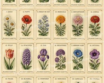 Vintage Flower Cigarette Cards | Antique Botanical Images | Junk Journal Flowers | Printable Signature Pages Pam at the Paper Outpost