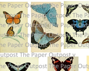 Butterfly #2 Vintage digital printable kit digital kit digi kit digikit butterflies butterflies pictures butterfly images paper outpost
