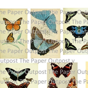 Mariposa n.° 2 Kit vintage para imprimir digitalmente Kit digital Kit digital Kit digi Kit Mariposas Imágenes de mariposas Imágenes de mariposas Puesto de avanzada de papel