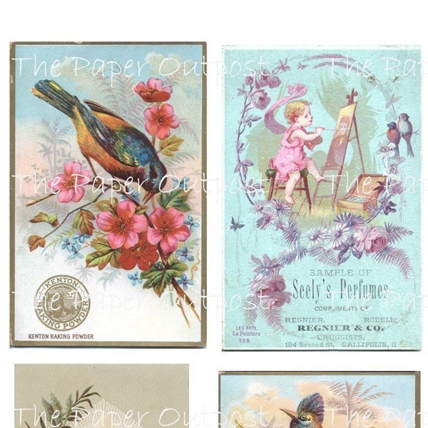 Birds Of Victorian Era Vintage Digikit digital kit digital printable digital digi kit bird birds Victorian ThePaperOutpost the paper outpost