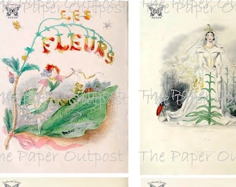 Antique Flower Images: Printable Botanical Ephemera (Digital Download)