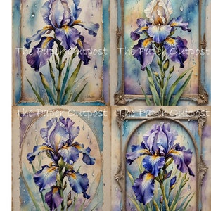 May include: Four watercolor paintings of purple irises with yellow accents, each framed in a gold-colored frame. The paintings are set against a background of blue and white watercolor washes, with raindrops falling from the top of the frame.