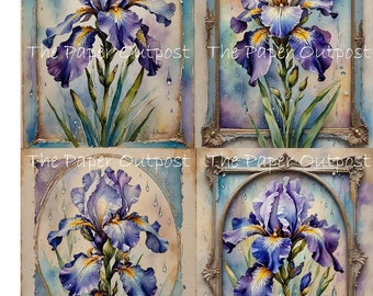 IRIS FLOWER Purple Blue Digikit Printable Image irises, purple blue flowers flower, botanical, floral ThePaperOutpost paper outpost shop pam