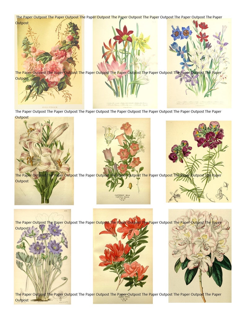 Blooms of Beauty Vintage Digikit Digital Kit Digital Printable | Etsy
