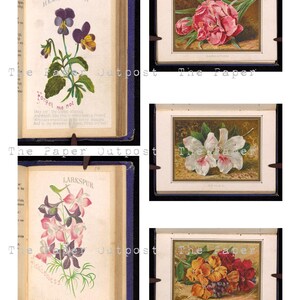 May include: A vintage book of flower illustrations with the title "The Paper Outpost". The book features five different flower illustrations, including hearts ease, carnation, aralia, larkspur, and wallflower.