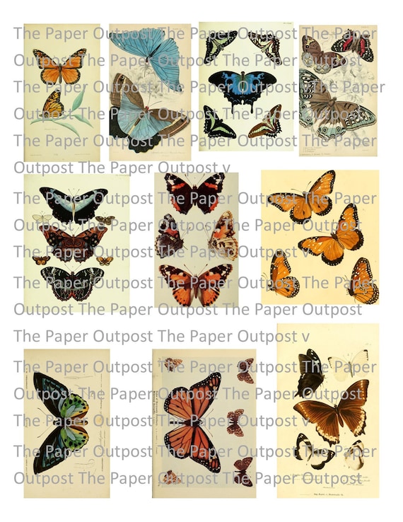 Butterfly #2 Vintage digital printable kit digital kit digi kit digikit butterflies butterflies pictures butterfly images paper outpost