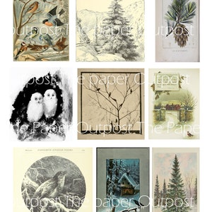 May include: A collage of nine vintage illustrations featuring winter scenes. The images include a snowy forest, a robin in a snowstorm, a cabin in the woods, a pine tree, and a pair of owls. The images are in black and white and sepia tones.