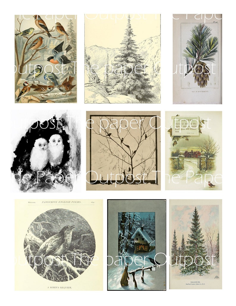 May include: A collage of nine vintage illustrations featuring winter scenes. The images include a snowy forest, a robin in a snowstorm, a cabin in the woods, a pine tree, and a pair of owls. The images are in black and white and sepia tones.