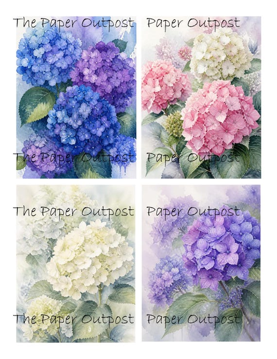 Hydrangea in Watercolor Digikit Printable Images flower. botanicals, floral, cottage core digital download The Paper Outpost