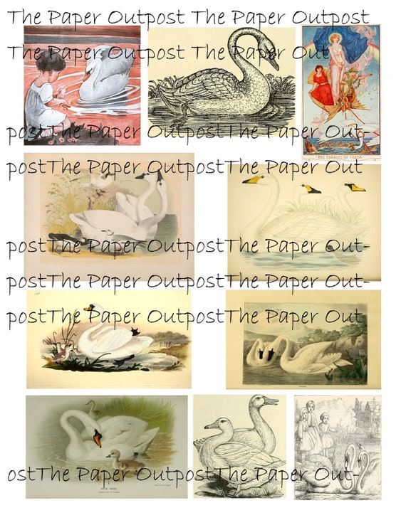 Swans & Geese Vintage Digikit digital printable kit digital kit digi kit digikit swan images ThePaperOutpost antique geese the paper outpost