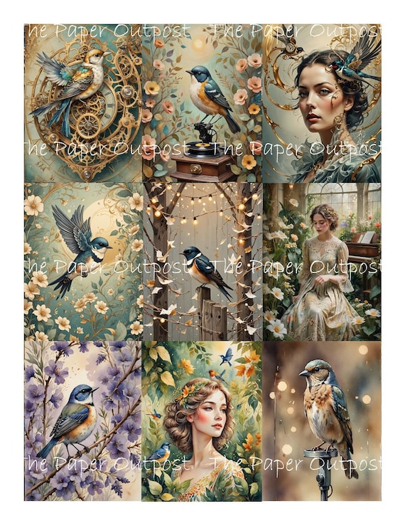 FANTASY BIRDS Digikit digital printable digital Vintage fantasy bird songbird sketch illustration ThePaperOutpost paper outpost shop pam