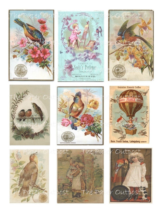 Birds Of Victorian Era Vintage Digikit digital kit digital printable digital digi kit bird birds Victorian ThePaperOutpost the paper outpost