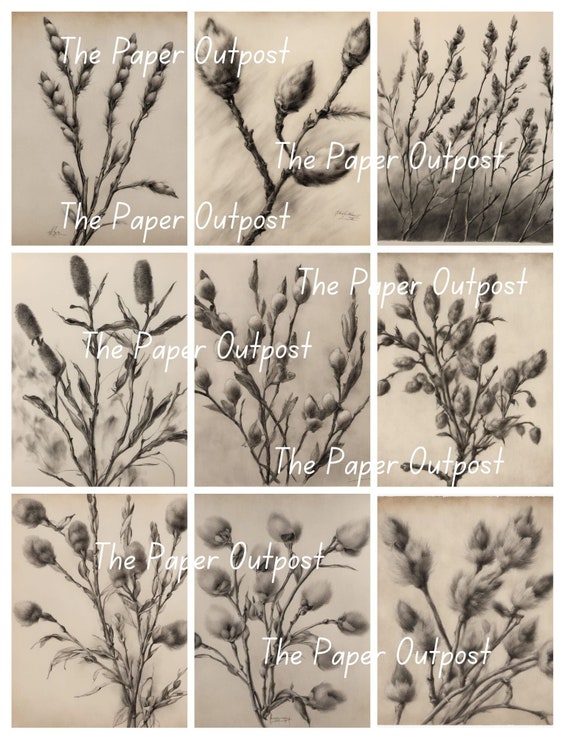 PUSSYWILLOW Vintage Digikit digital kit digital printable digital pussy willow fall autumn dried leaves ThePaperOutpost paper outpost shop