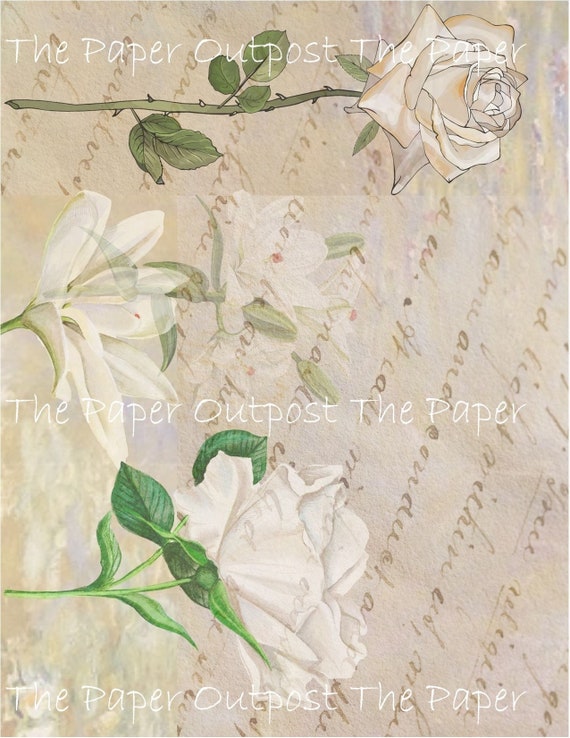 Vanilla Rose Signature Pages Digikit Digital Printable Background signatures  flower  neutral roses digikit Paper Outpost ThePaperOutpost