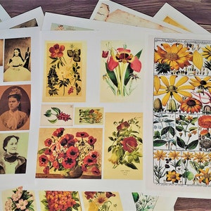 Vintage Digikits: 50 Mailed Pages, You Pick 10! bild 3