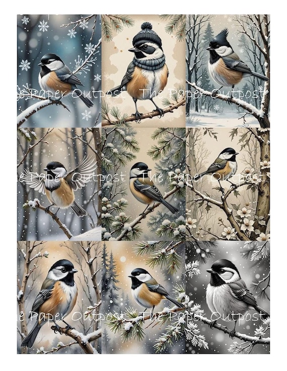 CHICKADEE BIRD WINTER Digikit digital printable digital chickadees, birds, wings, winter birds ThePaperOutpost paper outpost shop pam