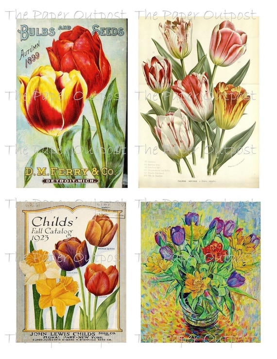 TULIPS TULIPS Digikit Digital Printable Printables Digikits Digi kit tulip download flower flowers the paper outpost shop ThePaperOutpost