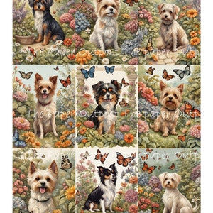 CÃO E BORBOLETA Digikit digikit digital imprimível digital vintage ilustração de cães e borboletas ThePaperOutpost loja de posto avançado de papel pam
