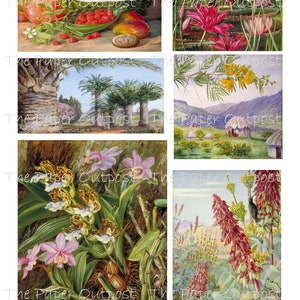 TROPICAL PARADISE Printable Digital Download Printable Image, Digikit ...