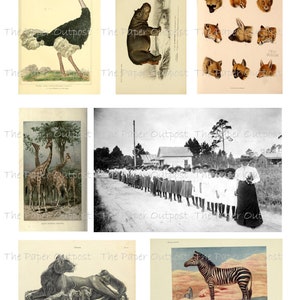AFRICA Printable Digital Download Printable Image, Digikit African ...