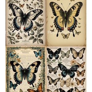 Butterfly Entomology Print: Vintage Butterfly Labels (digital Download ...