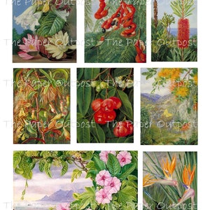 TROPICAL PARADISE Printable Digital Download Printable Image, Digikit ...