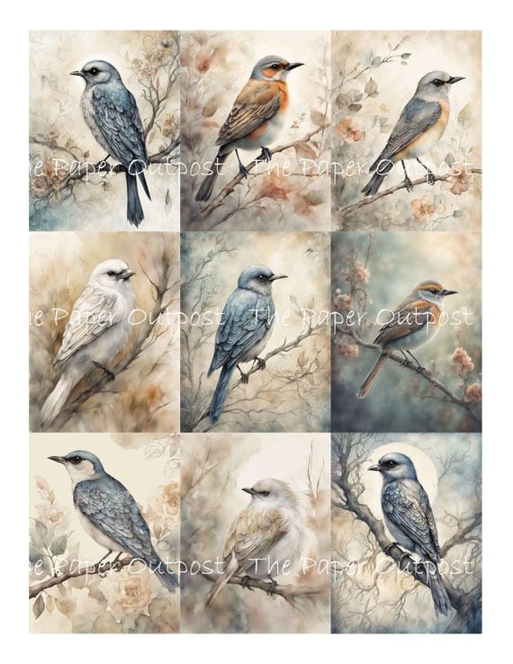 BIRD IN WOODLANDS Digikit digital printable digital songbird birds, bird on branch, bird in tree ThePaperOutpost paper outpost shop pam