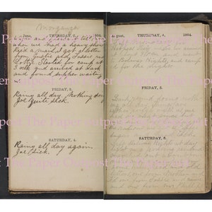 Puede incluir: Un diario antiguo abierto con p&aacute;ginas amarillentas que presentan entradas manuscritas en tinta cursiva fechadas en junio y agosto de 1864. La p&aacute;gina izquierda incluye entradas para el jueves 2, viernes 3 y s&aacute;bado 4 de junio. La derecha muestra el 4, 5 y 6 de agosto.