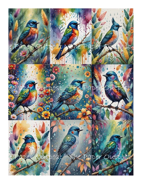 RAINBOW BIRD Digikit digital printable digital colorful bird, fantasy bird, songbird printable, ThePaperOutpost paper outpost shop pam