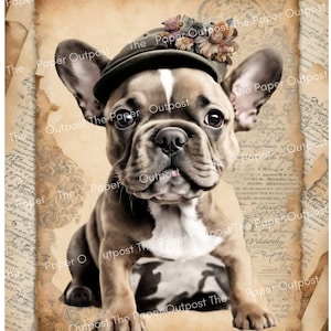 Peut inclure: Un chiot bouledogue français fauve et blanc portant un chapeau vert foncé orné d'un bouquet de petites fleurs en tissu. Le chiot est centré sur un fond de papier parchemin vieilli aux tons sépia avec une écriture manuscrite cursive.