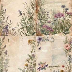 May include: A collage of four vintage-style paper sheets featuring botanical illustrations of lavender, wildflowers, and roses. The background has a distressed, aged parchment texture with sepia tones, horizontal writing lines, and floral borders.