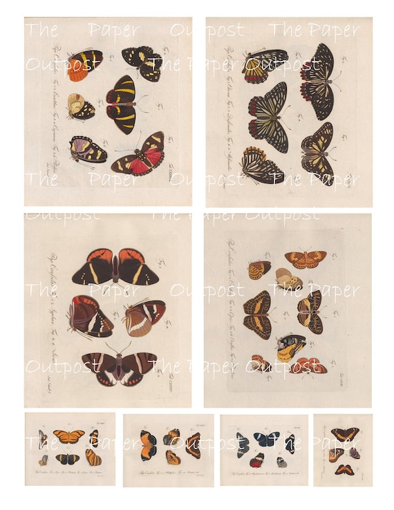 Butterflies Among Us Digikit digital kit digital printable digital digi kit vintage ThePaperOutpost antique butterfly paper outpost ephemera