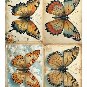 May include: A collage of four butterfly illustrations. Each butterfly has detailed wings in shades of orange, yellow, and blue, set against vintage-style backgrounds. The text "The Paper Outpost" and "Butterfly Blessings" is visible.