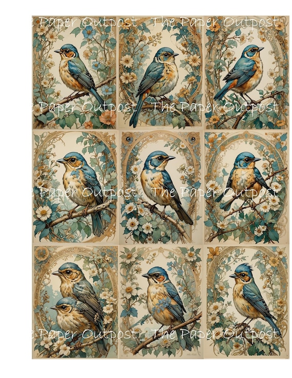 VINTAGE ROBIN BIRD Digikit digikit digital printable digital vintage robins birds sketch illustration ThePaperOutpost paper outpost shop pam