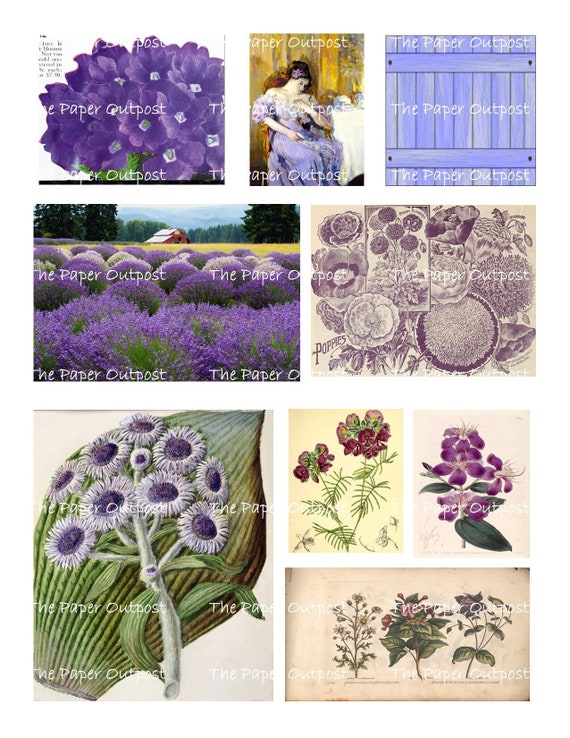 PURPLE VINTAGE THEME Digikit Digital Printable Printables Digikits Digi kit  lavender Plum The Paper Outpost ThePaperOutpost