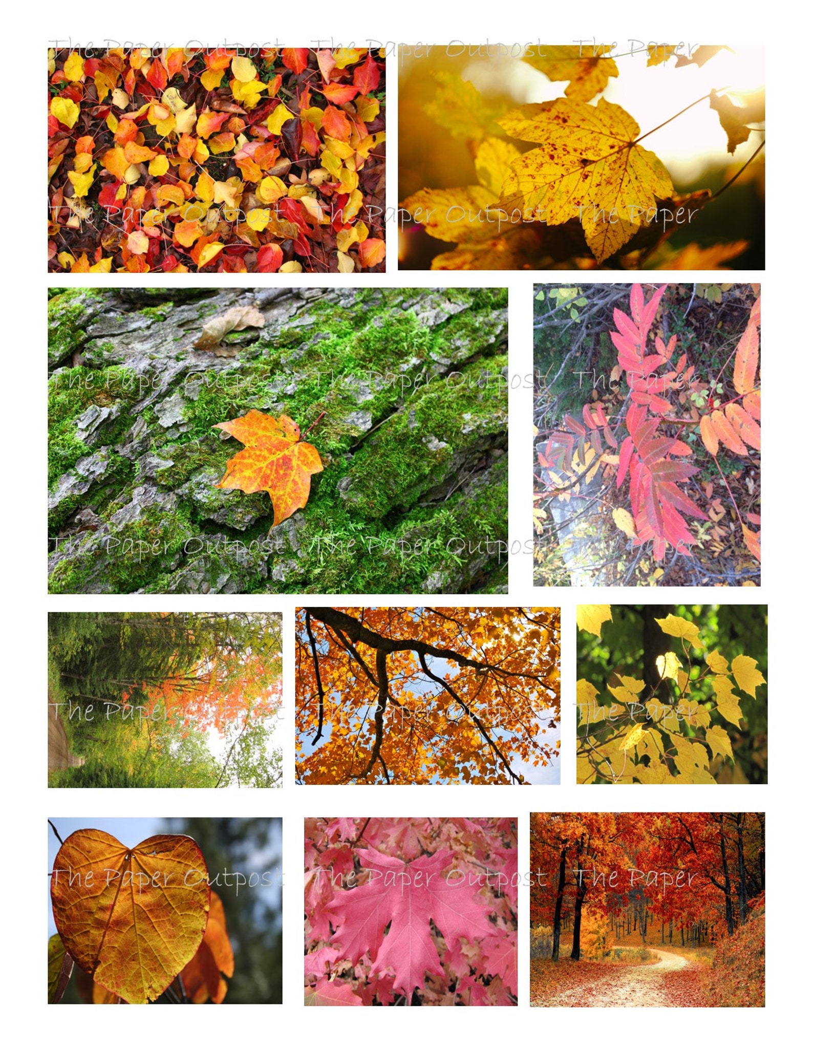 AUTUMN LEAVES Printable Digital Download Printable Image - Etsy