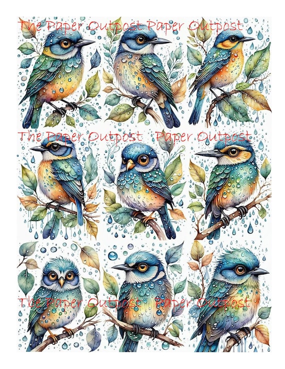 Bird In Rain Digikit, Printable Fantasy Bird, Blue Bird, Green Bird, Rainy Bird Images (Digital Download)