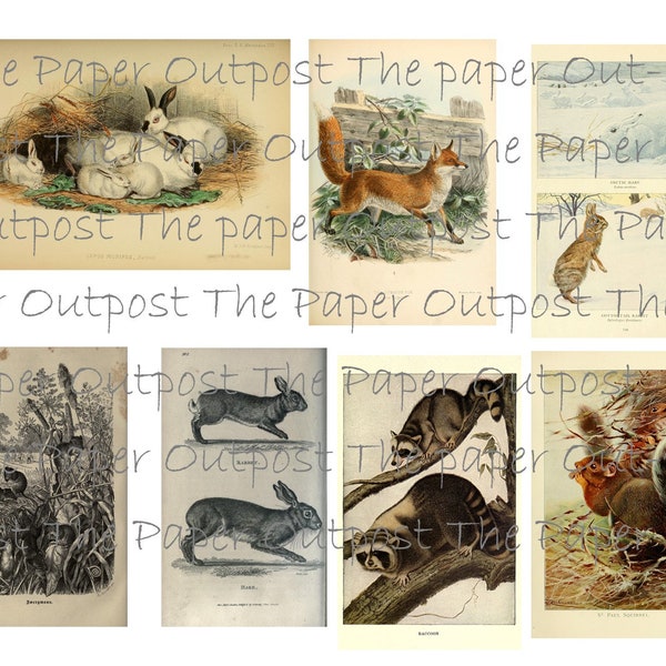 Woodland creatures digital printable kit digi kit digikit forest animals vintage the paper outpost images pictures junk journal digitals