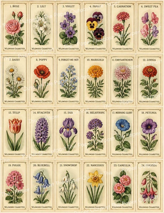 Vintage Flower Cigarette Cards Images for Junk Journals (Digital Kit) The Paper Outpost