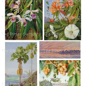 TROPICAL PARADISE Printable Digital Download Printable Image, Digikit ...