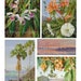 TROPICAL PARADISE Printable Digital Download Printable Image, Digikit ...
